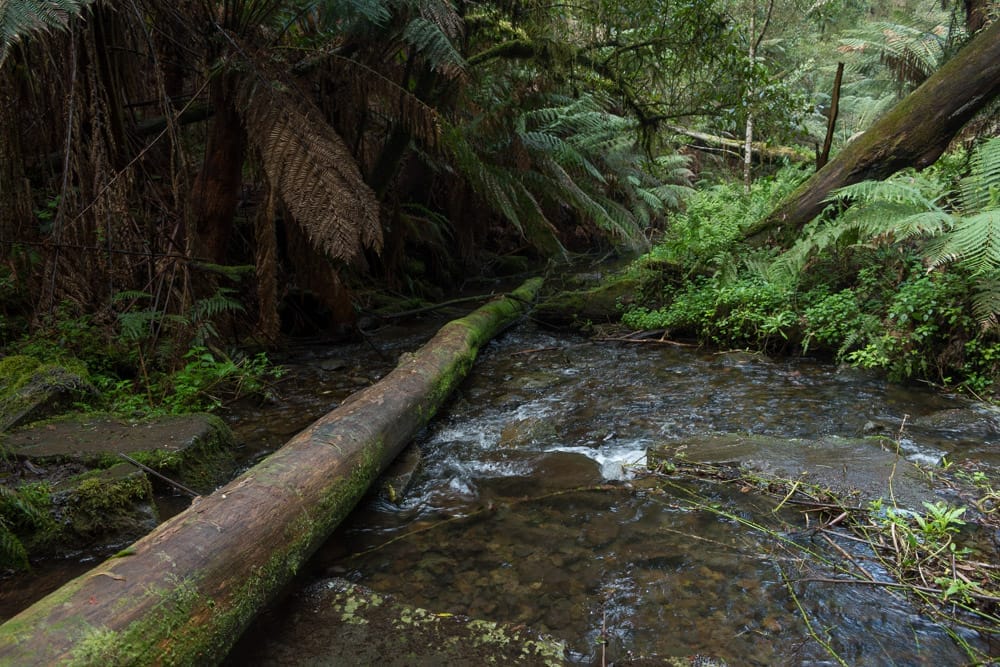 River Crossings at Marriners Falls