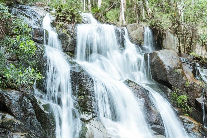 Toorongo Falls Landscape image