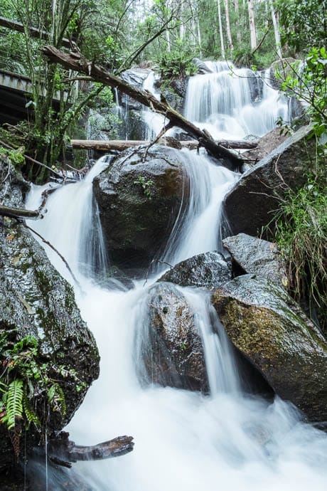 toorongofalls2-1-of-2