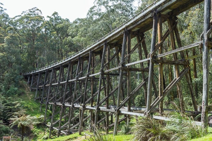 Landscape photo of Noojee Trestle bridge from steep embankment