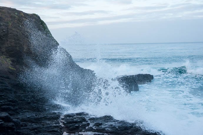 waves crashing into sharp rock at the Flinders Blowhole