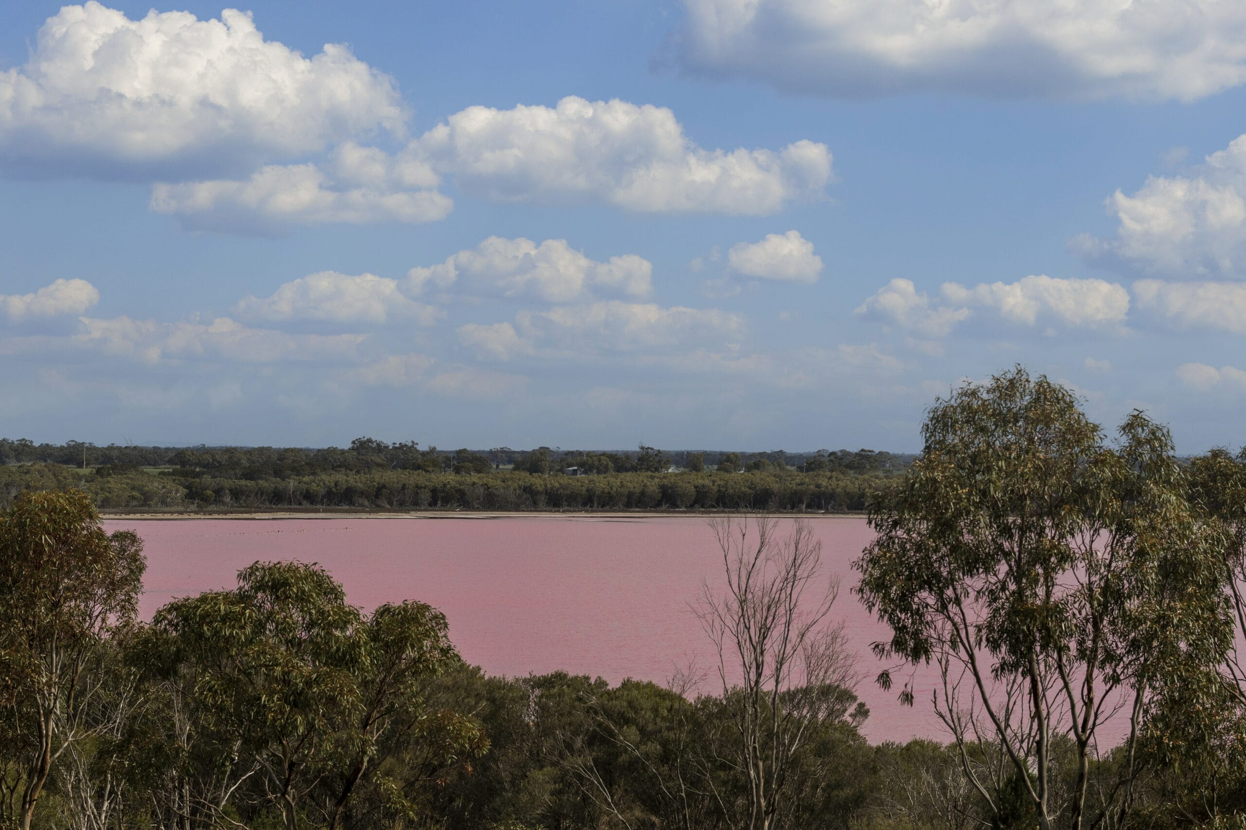 Pink Lake