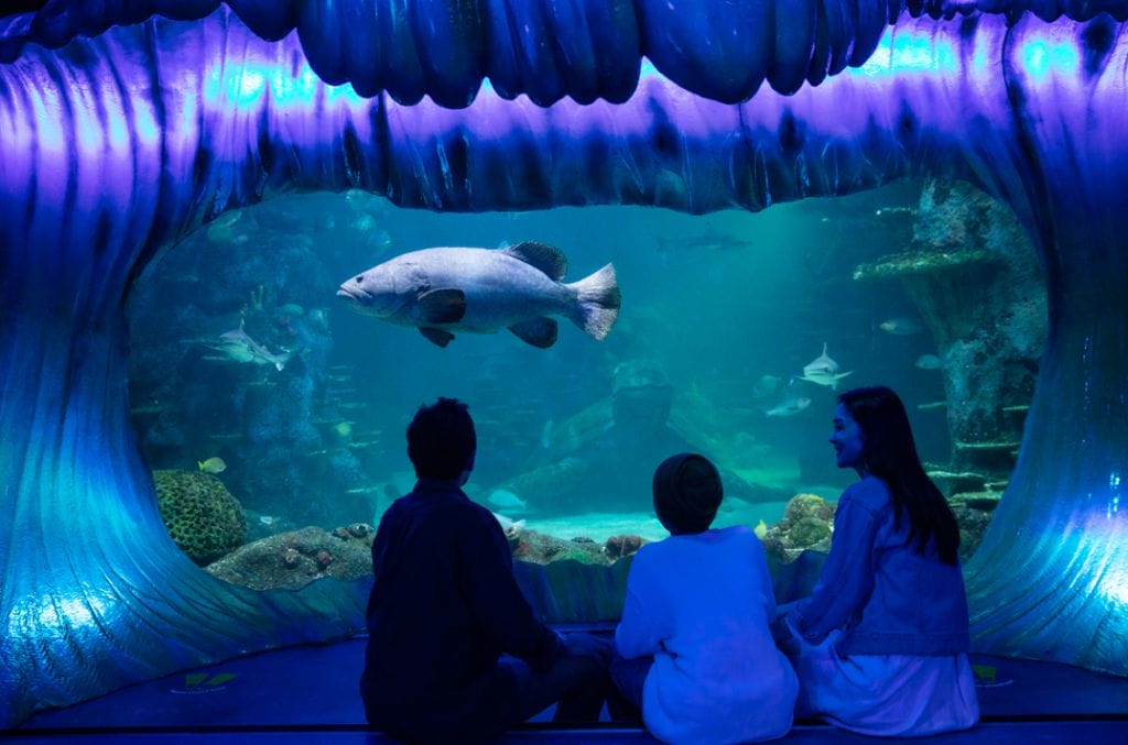 SEA LIFE Sydney Aquarium