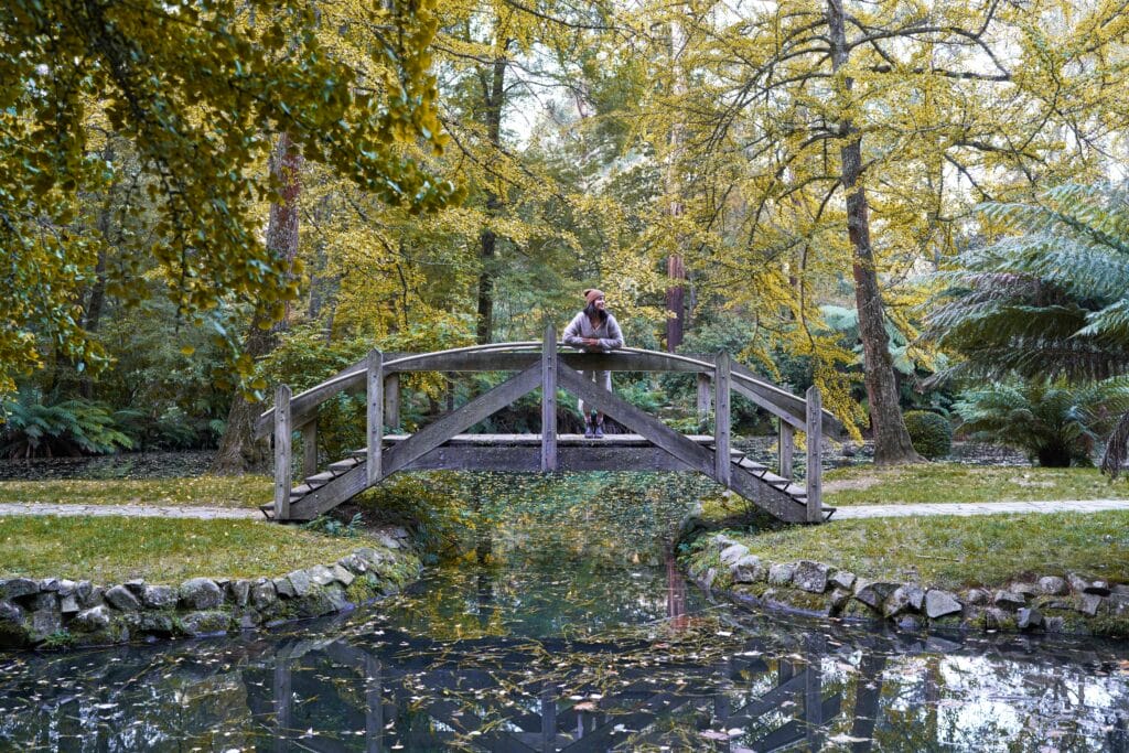 Alfred Nicholas Memorial Gardens