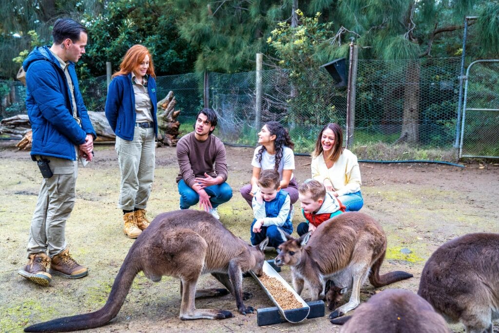Melbourne Zoo