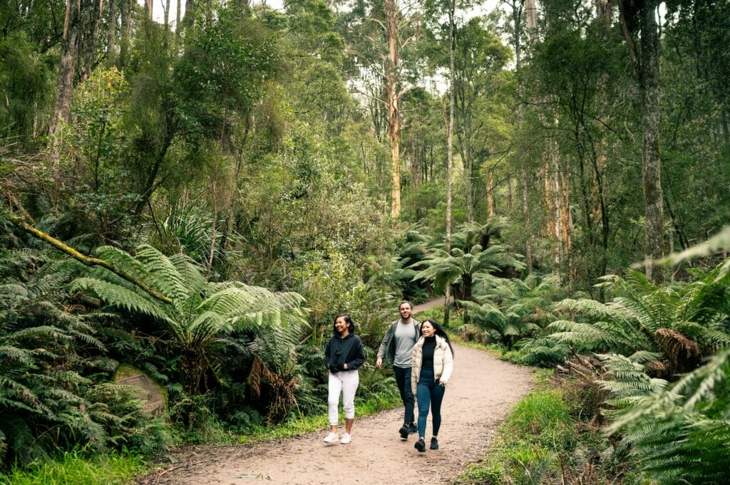 1000 Steps Walk, VIC