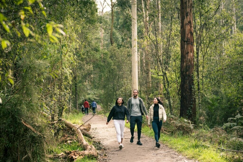 1000 Steps Walk, VIC