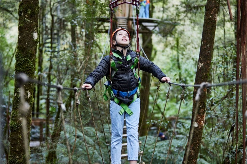 Otway Fly Treetop Walk