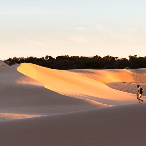 The Big Drift Wilsons Promontory
