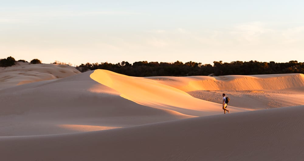 The Big Drift Wilsons Promontory