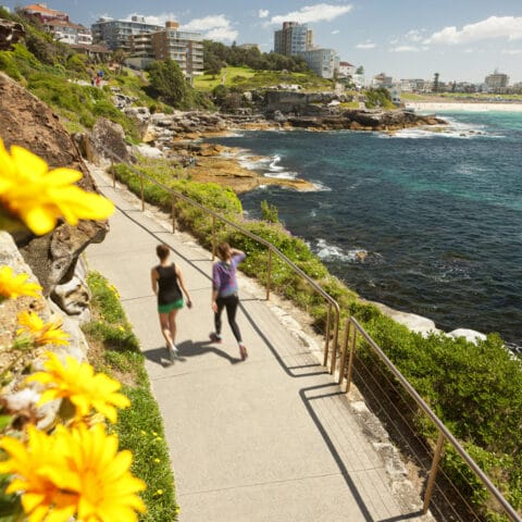 Bondi to Coogee Walk