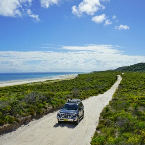 Moreton Island