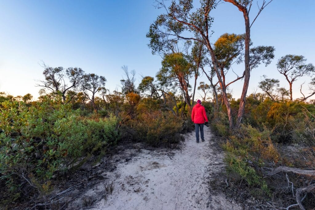 Little Desert National Park