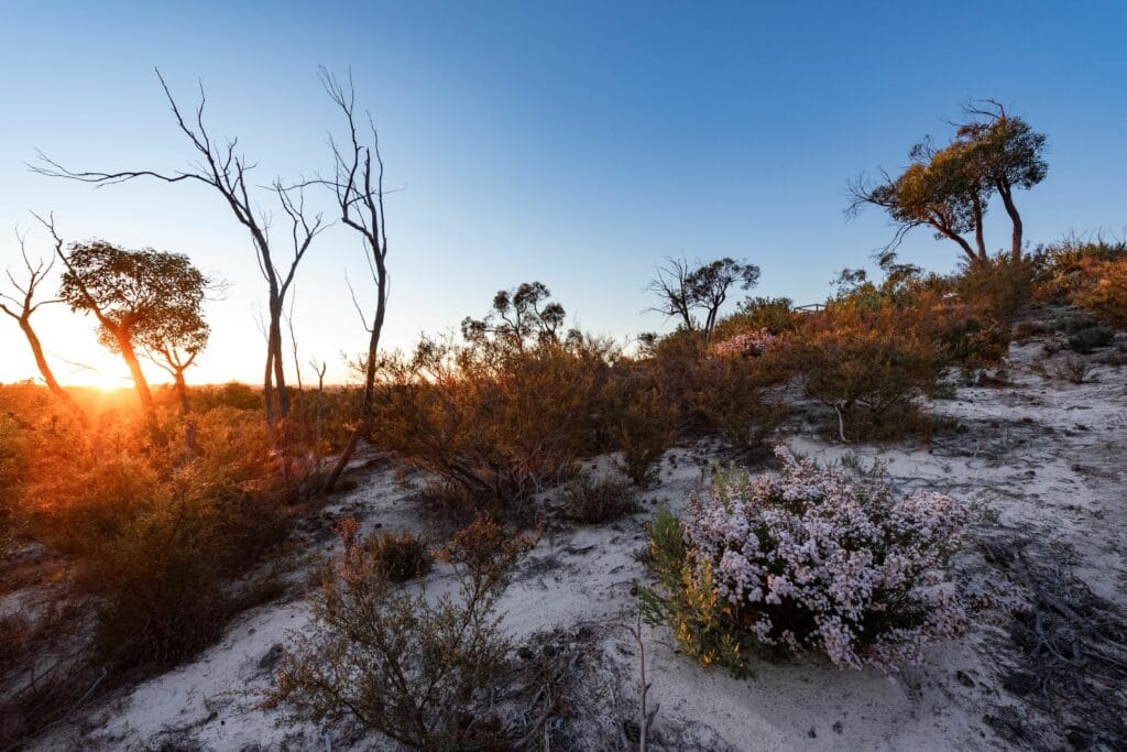 Little Desert National Park