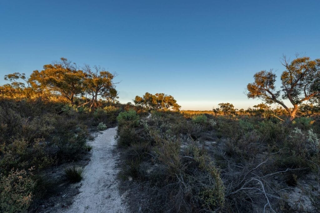 Little Desert National Park