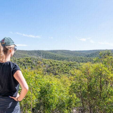 Brisbane Ranges National Park