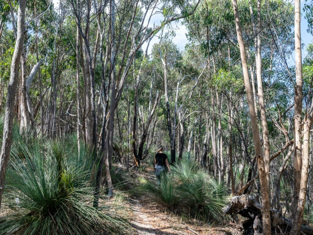 Brisbane Ranges National Park