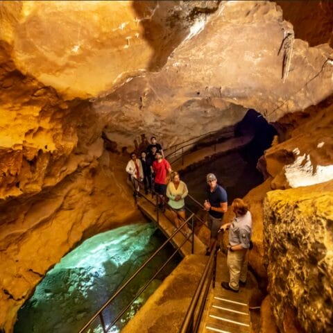 Jenolan Caves