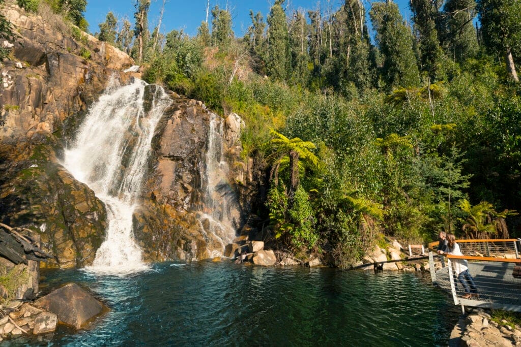 Steavenson Falls